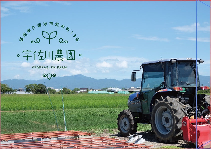宇佐川農園の野菜を取り入れた新しいライフスタイルのご提案
