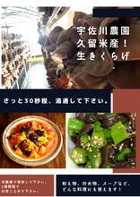 画像をギャラリービューアに読み込む, 福岡県産ぷりぷり食感！農薬不使用！生キクラゲ！（1kg）
